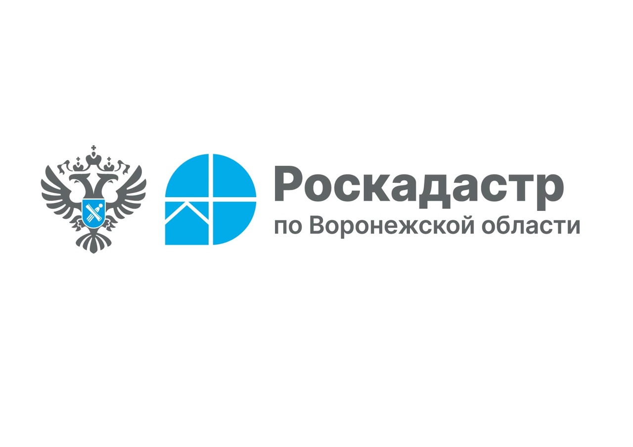 Воронежский Роскадастр расскажет о внесении в ЕГРН зон с особыми условиями.
